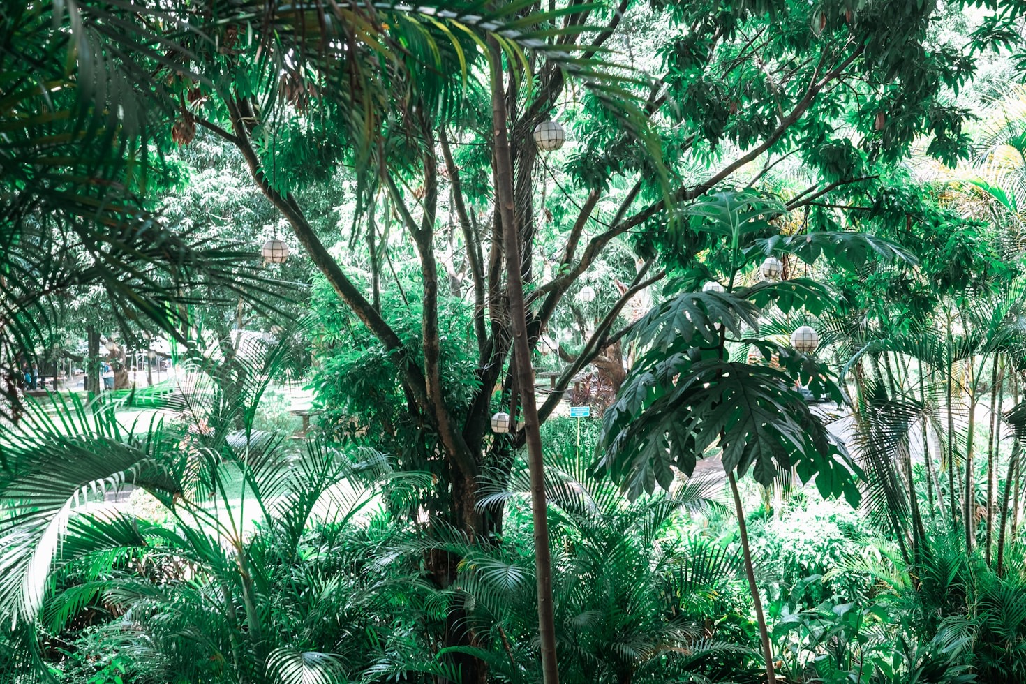 Wie ökologische Praktiken die Zukunft formen